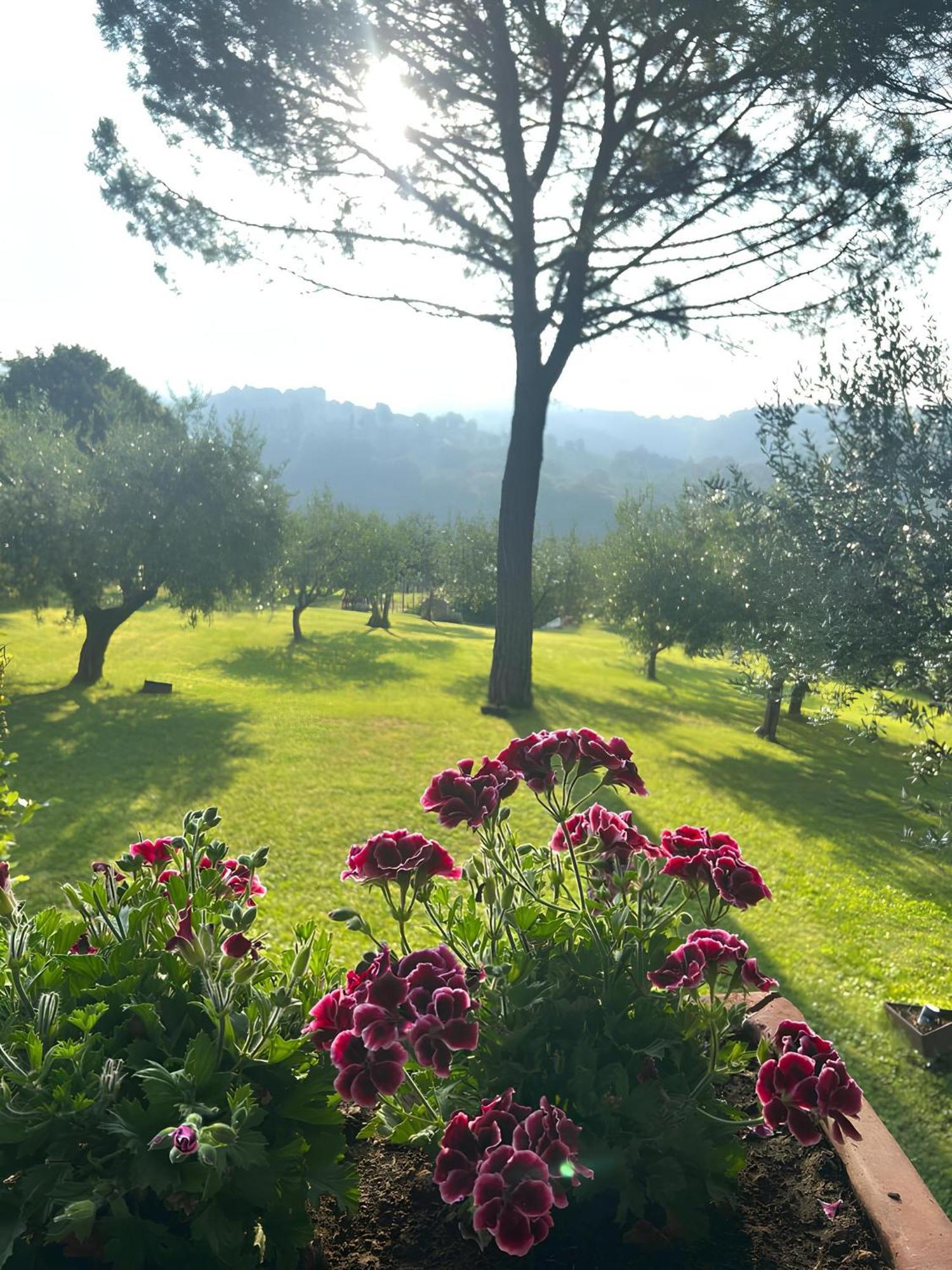 Santa Maria Degli Ancillotti Guest House Petrignano ภายนอก รูปภาพ